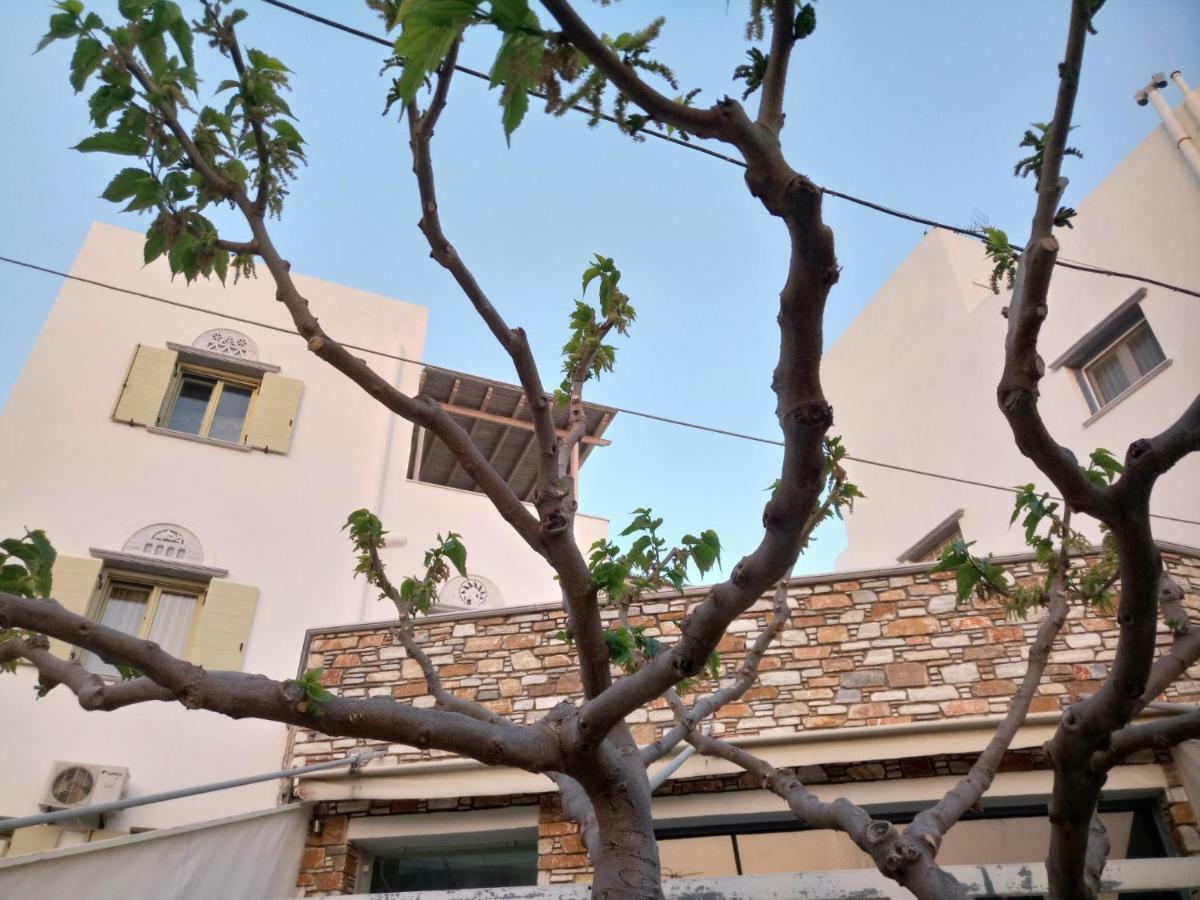 Best View House Тинос Екстериор снимка